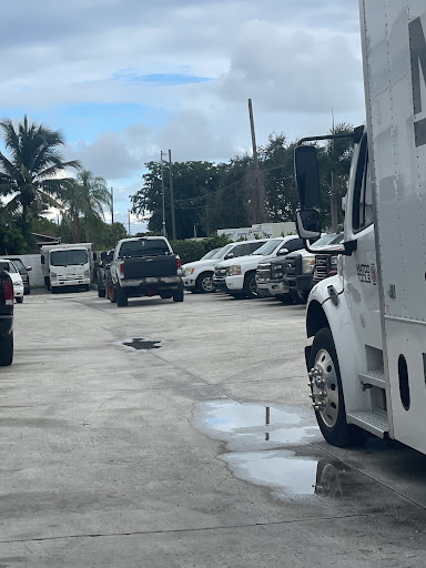 Photo from customer review